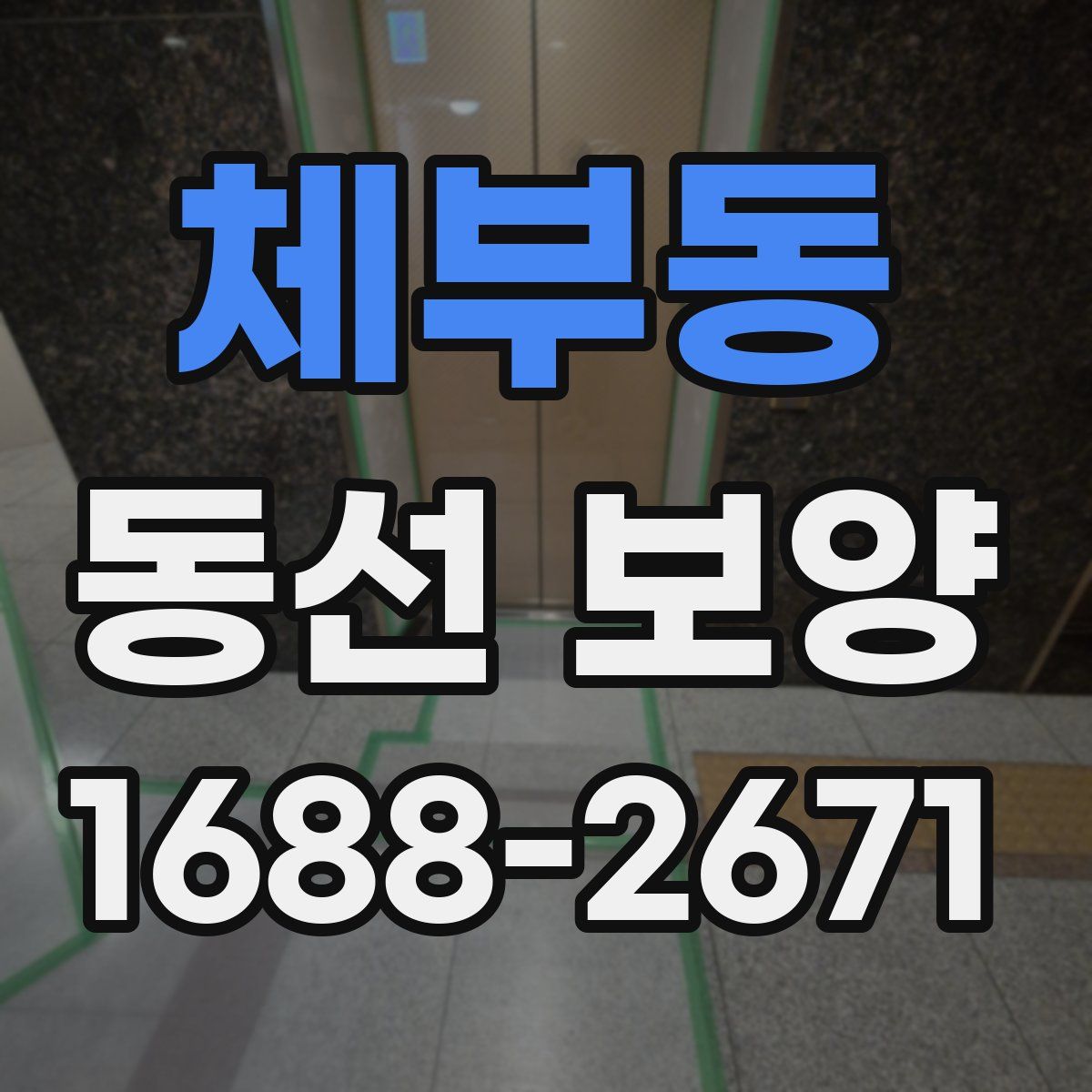 체부동 동선 보양