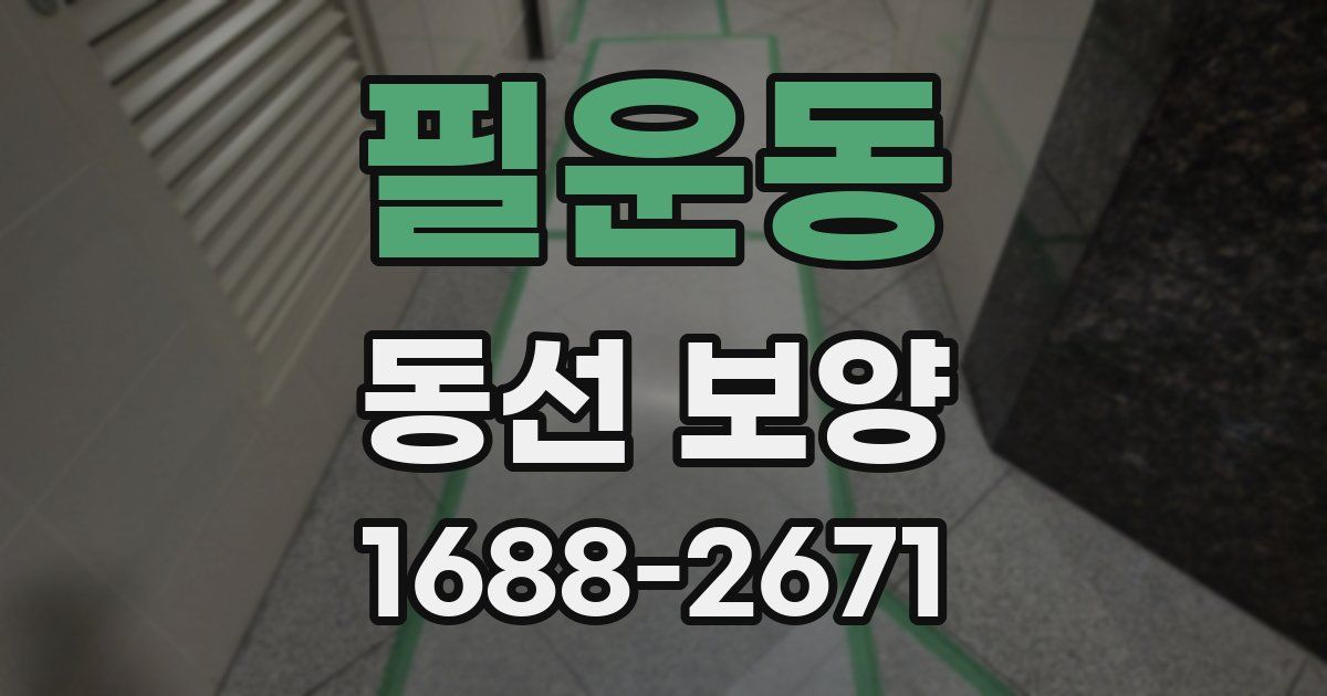 필운동 동선 보양