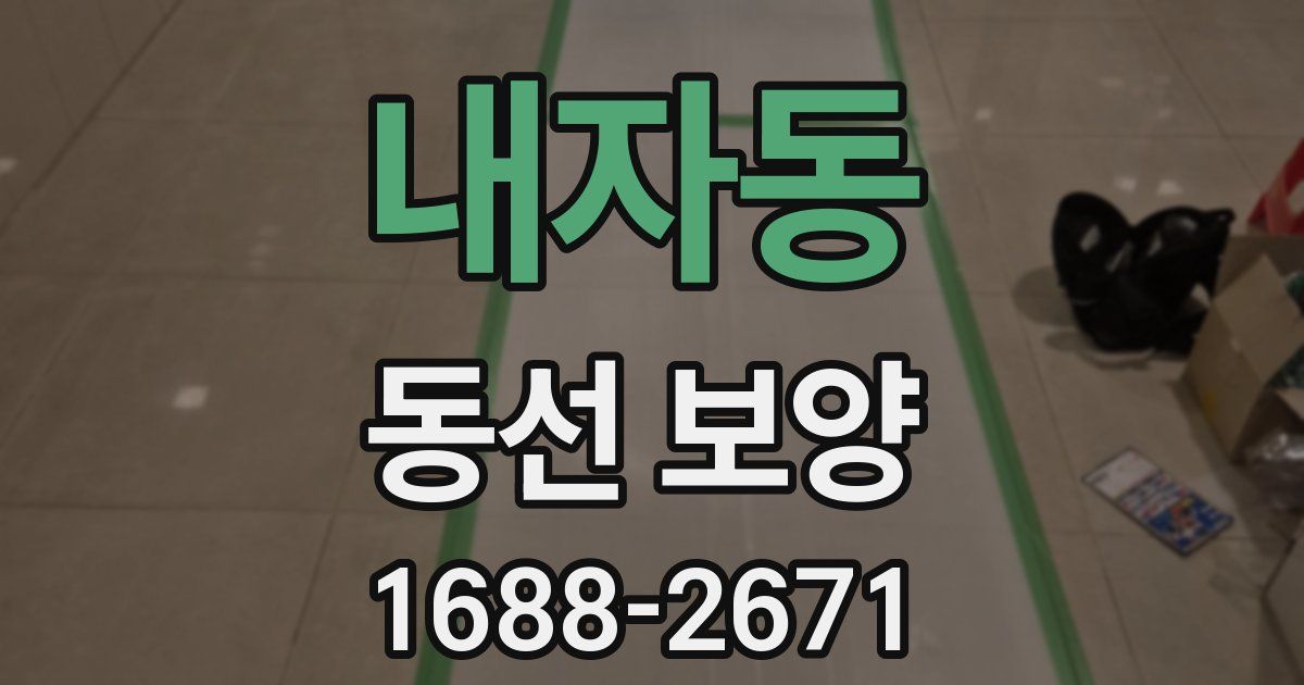 내자동 동선 보양
