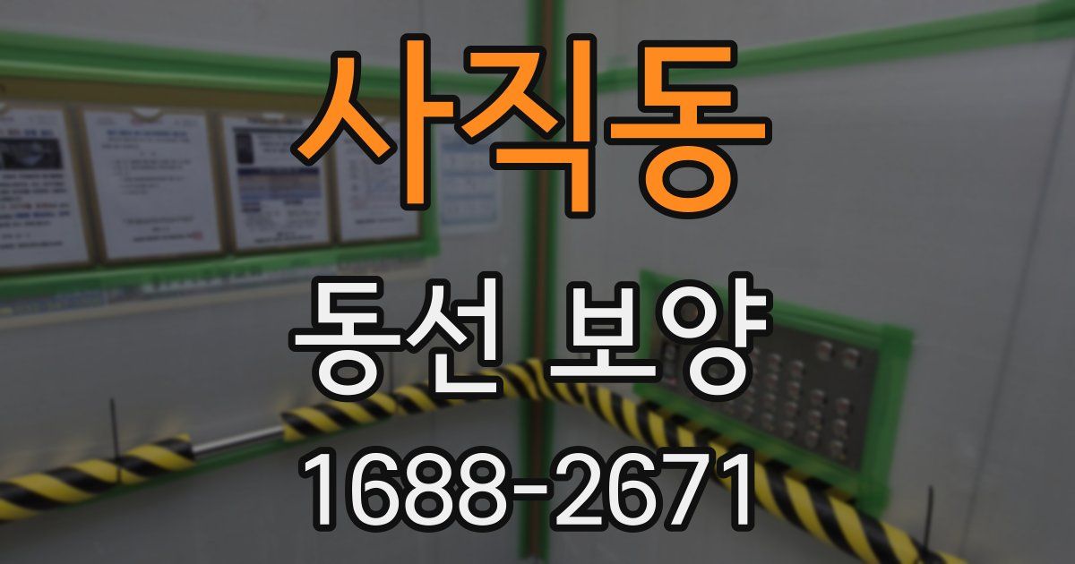사직동 동선 보양