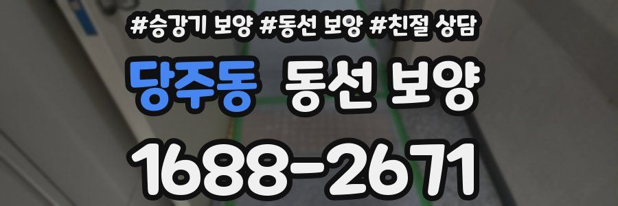 당주동 동선 보양
