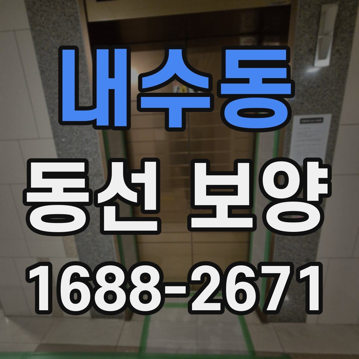 내수동 동선 보양 비용은 무엇에 따라 달라질까