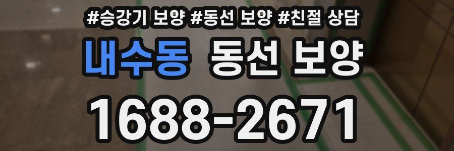 내수동 동선 보양