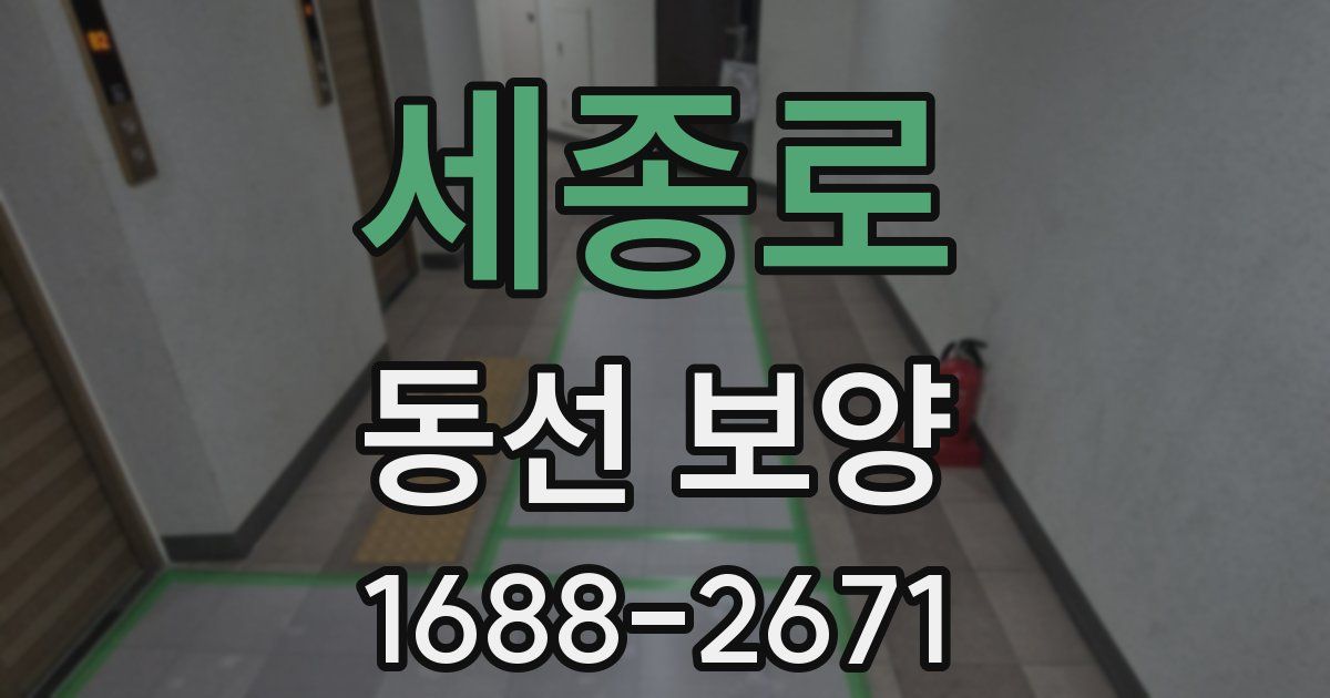 세종로 동선 보양