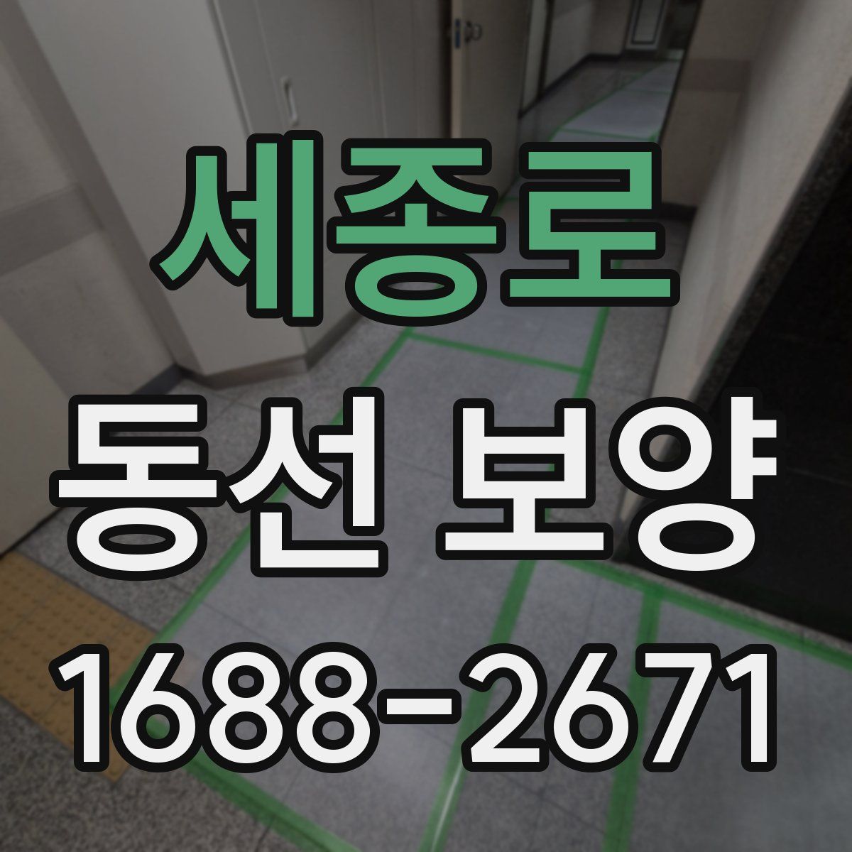 세종로 동선 보양