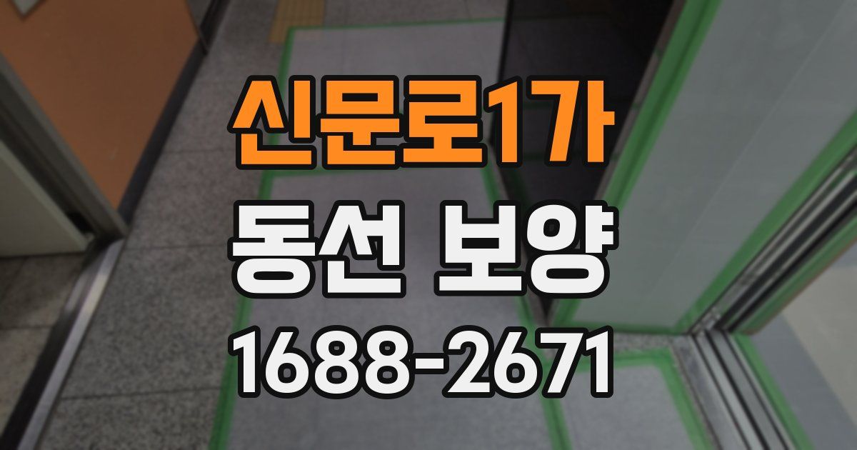 신문로1가 동선 보양