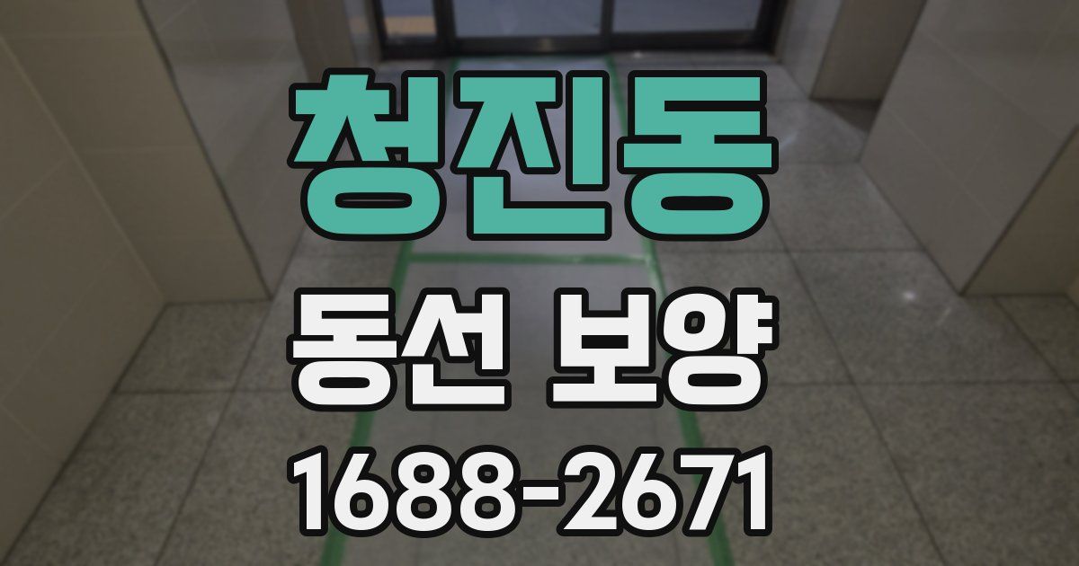 청진동 동선 보양