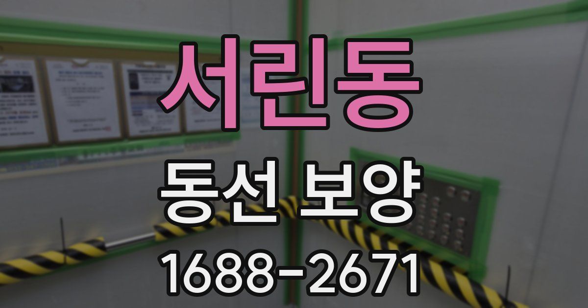 서린동 동선 보양