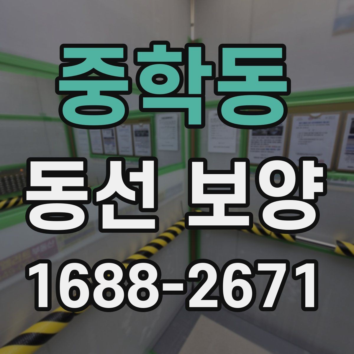 중학동 동선 보양 관련 문의 전 준비하면 좋은 정보