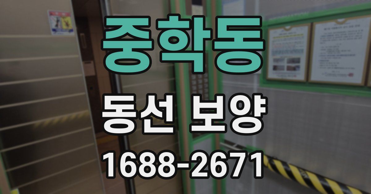 중학동 동선 보양