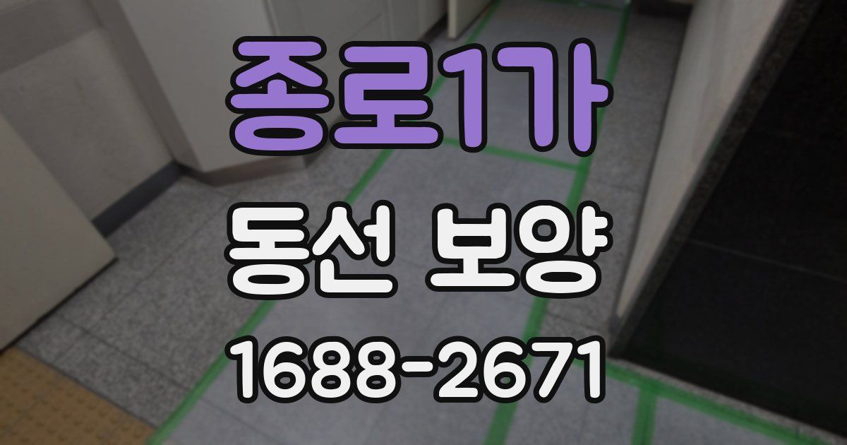 종로1가 동선 보양