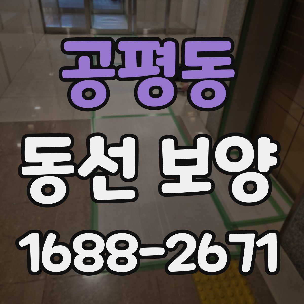 공평동 동선 보양