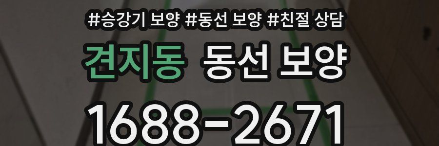 견지동 동선 보양