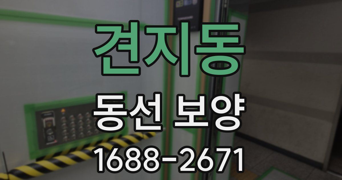 견지동 동선 보양