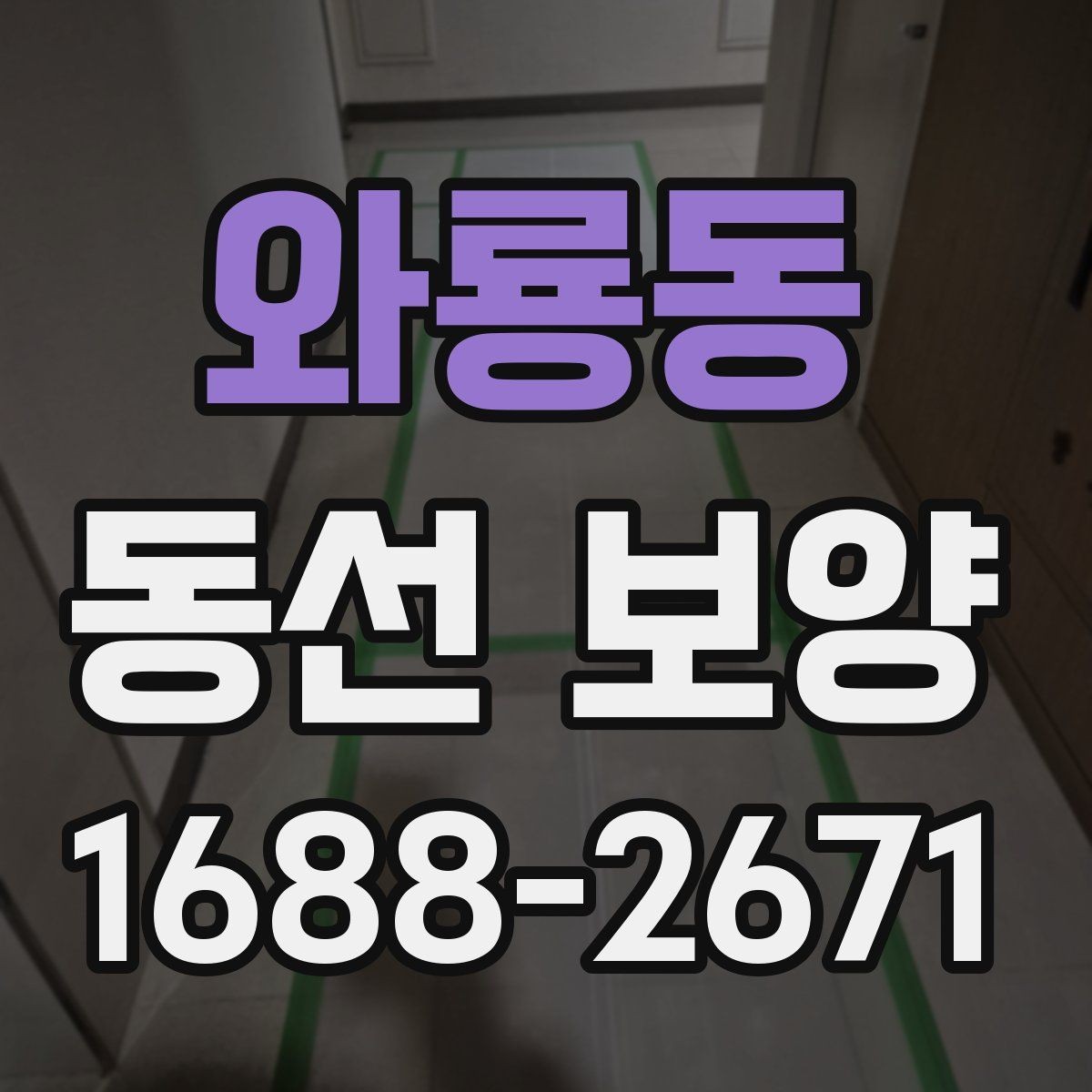 와룡동 동선 보양 후 정리까지 고려해야 하는 이유