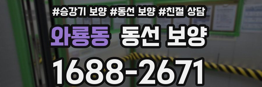 와룡동 동선 보양