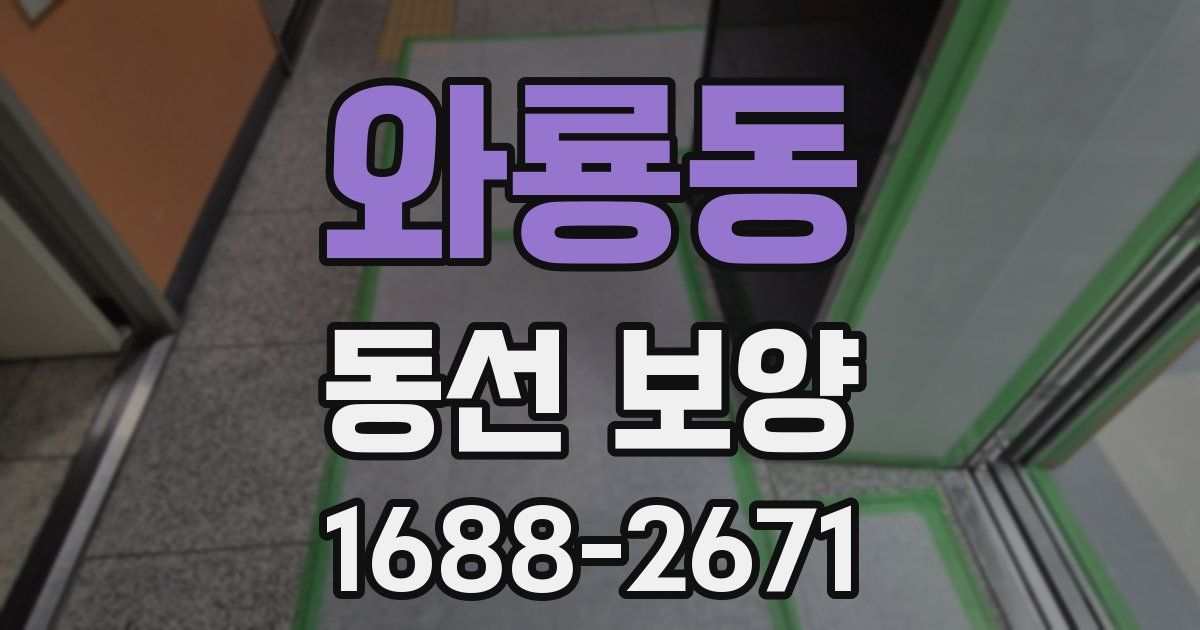 와룡동 동선 보양