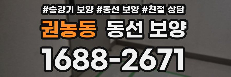 권농동 동선 보양