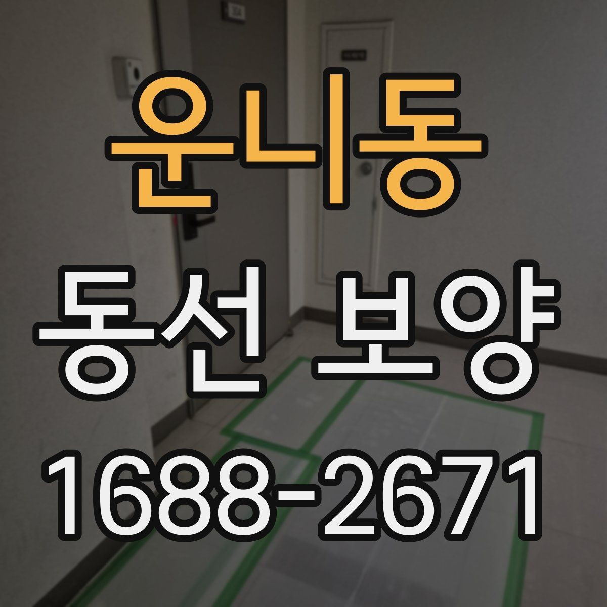 운니동 동선 보양 진행 시 작업자 간 협업이 중요한 이유