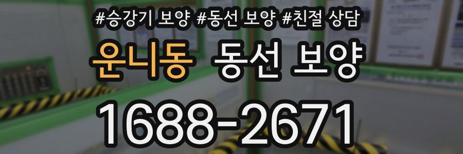 운니동 동선 보양