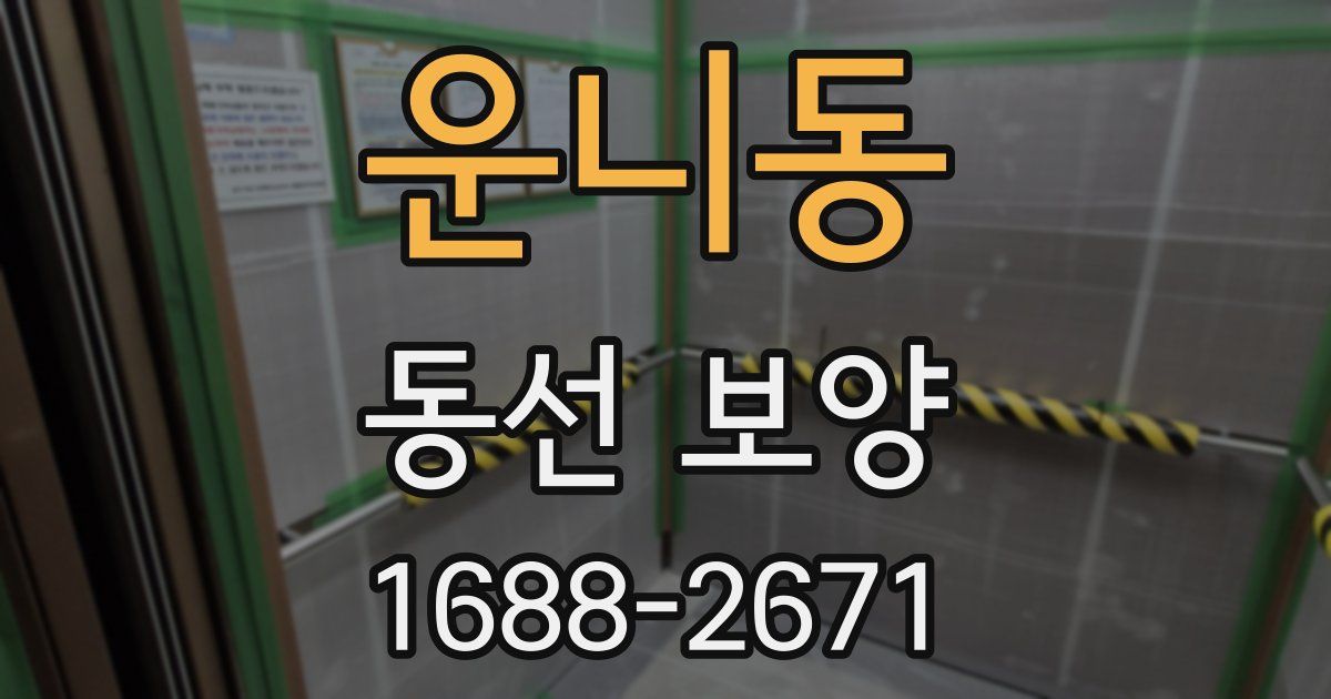운니동 동선 보양