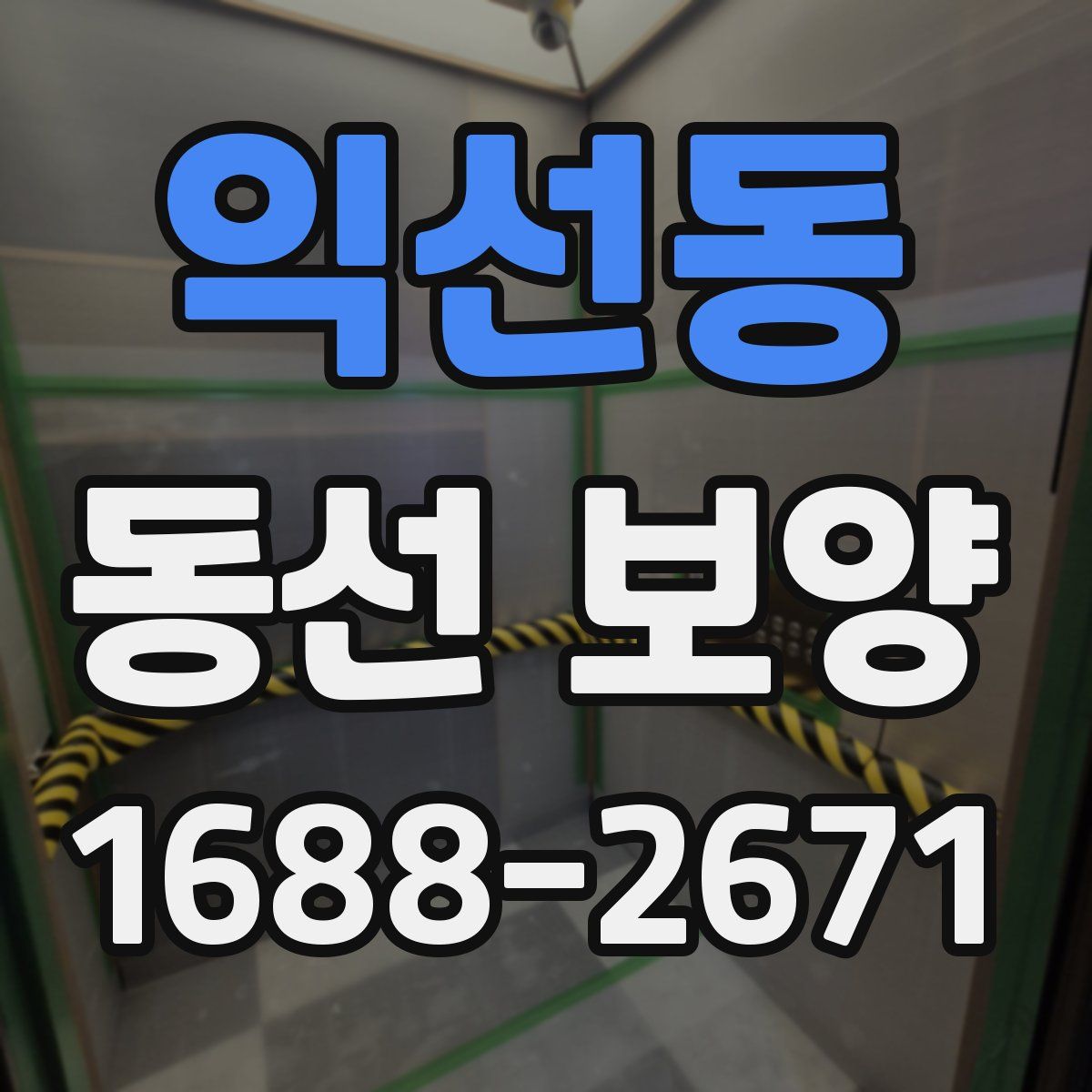 익선동 동선 보양