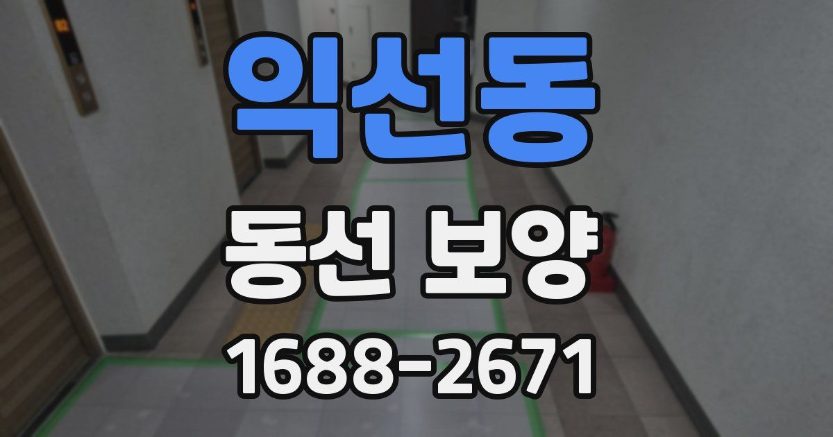 익선동 동선 보양