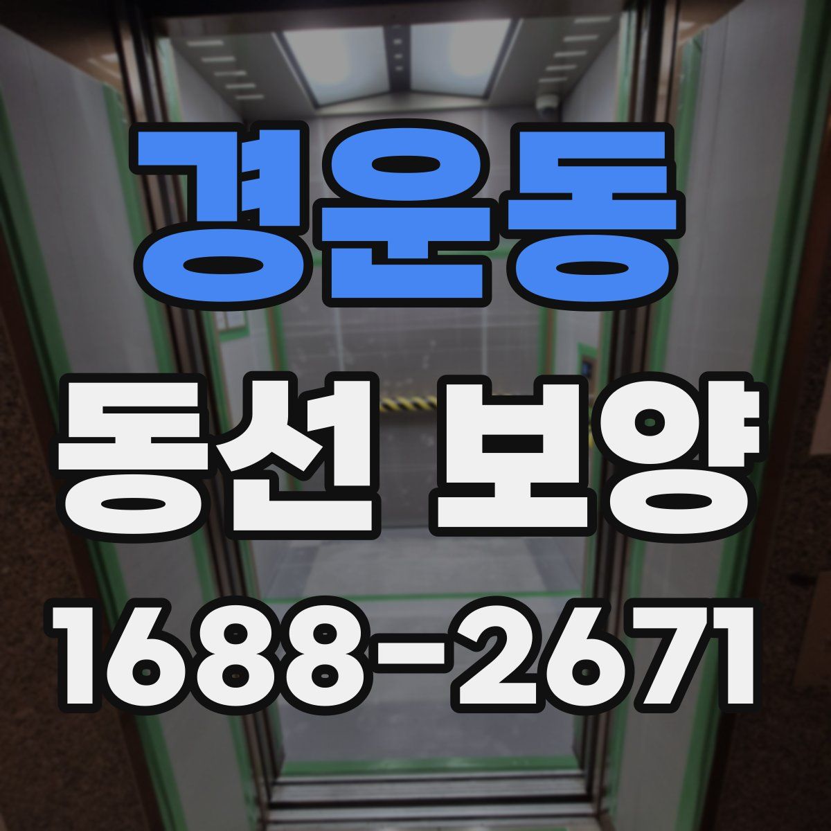 경운동 동선 보양