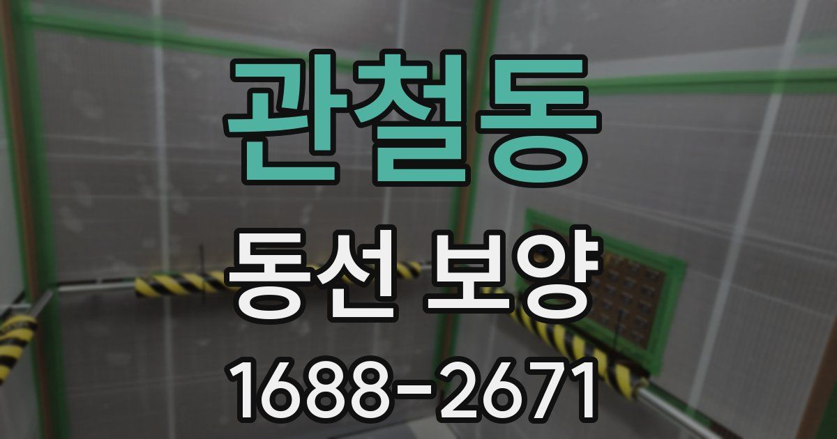 관철동 동선 보양