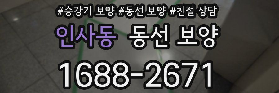 인사동 동선 보양