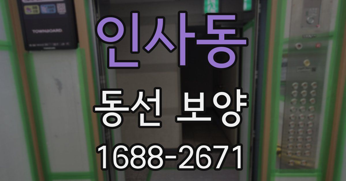 인사동 동선 보양