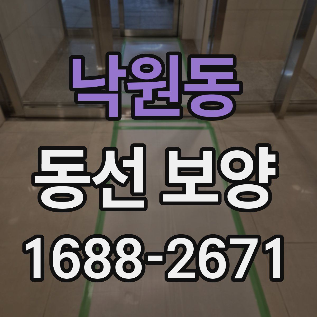 낙원동 동선 보양