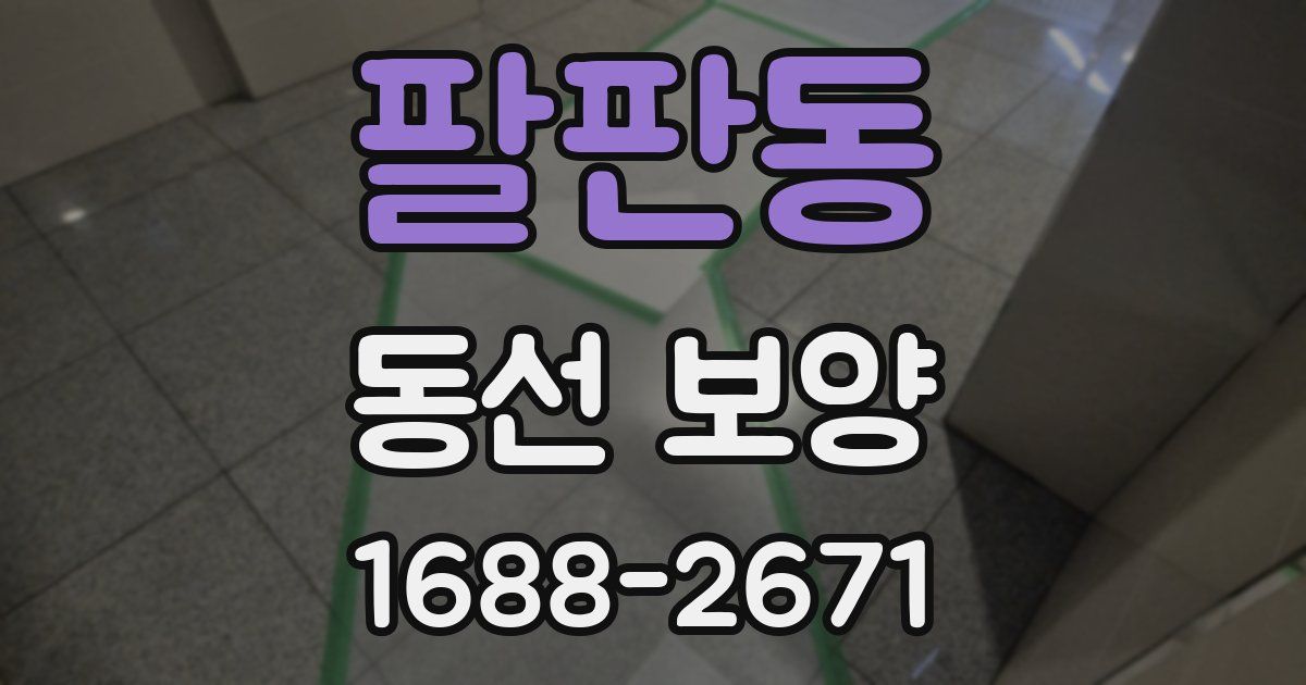 팔판동 동선 보양