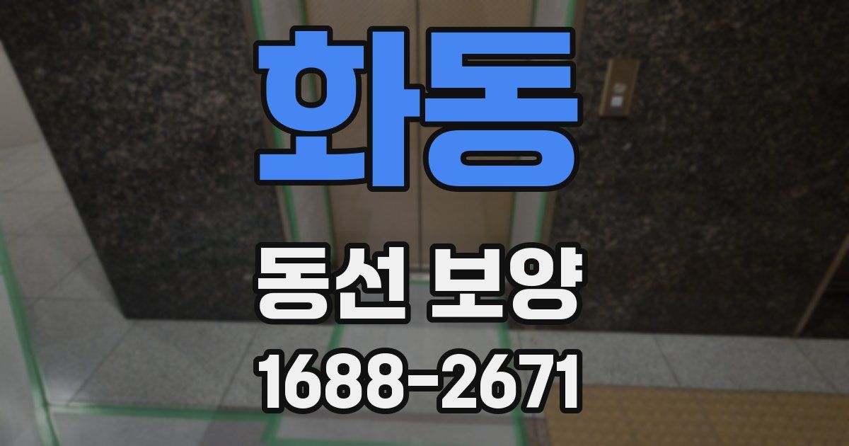 화동 동선 보양