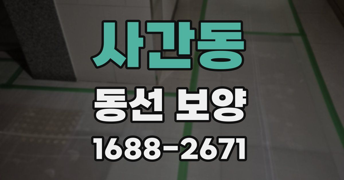 사간동 동선 보양