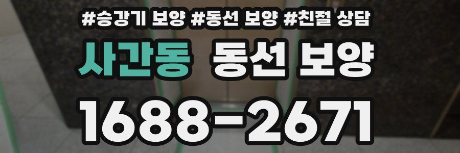 사간동 동선 보양