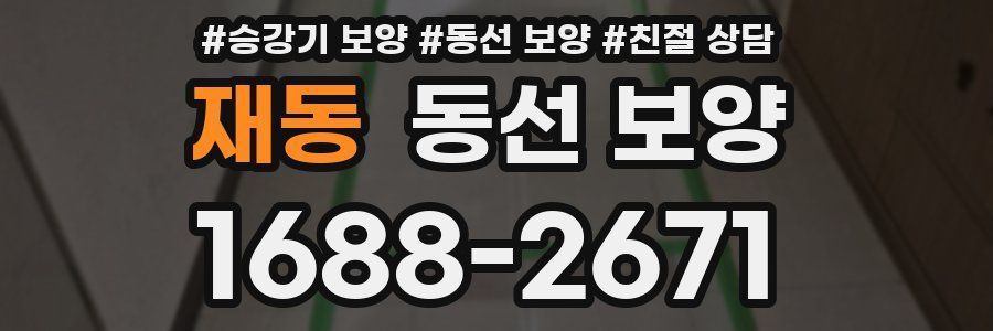재동 동선 보양