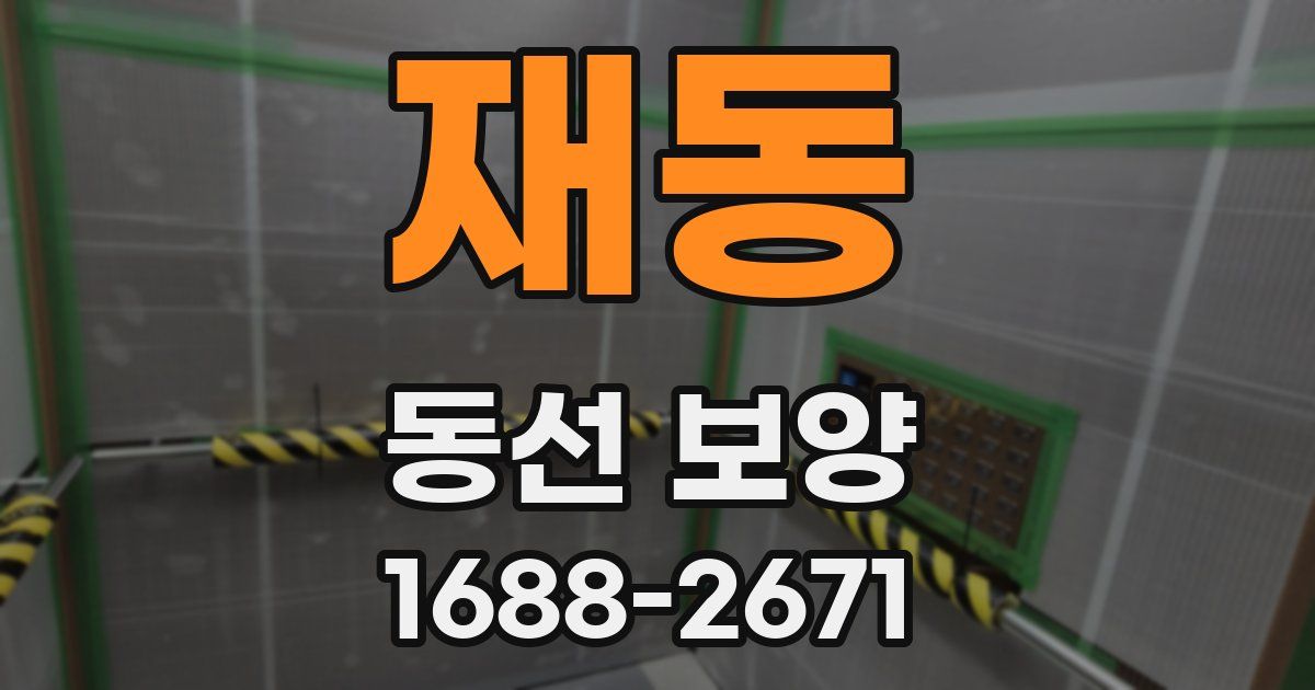 재동 동선 보양