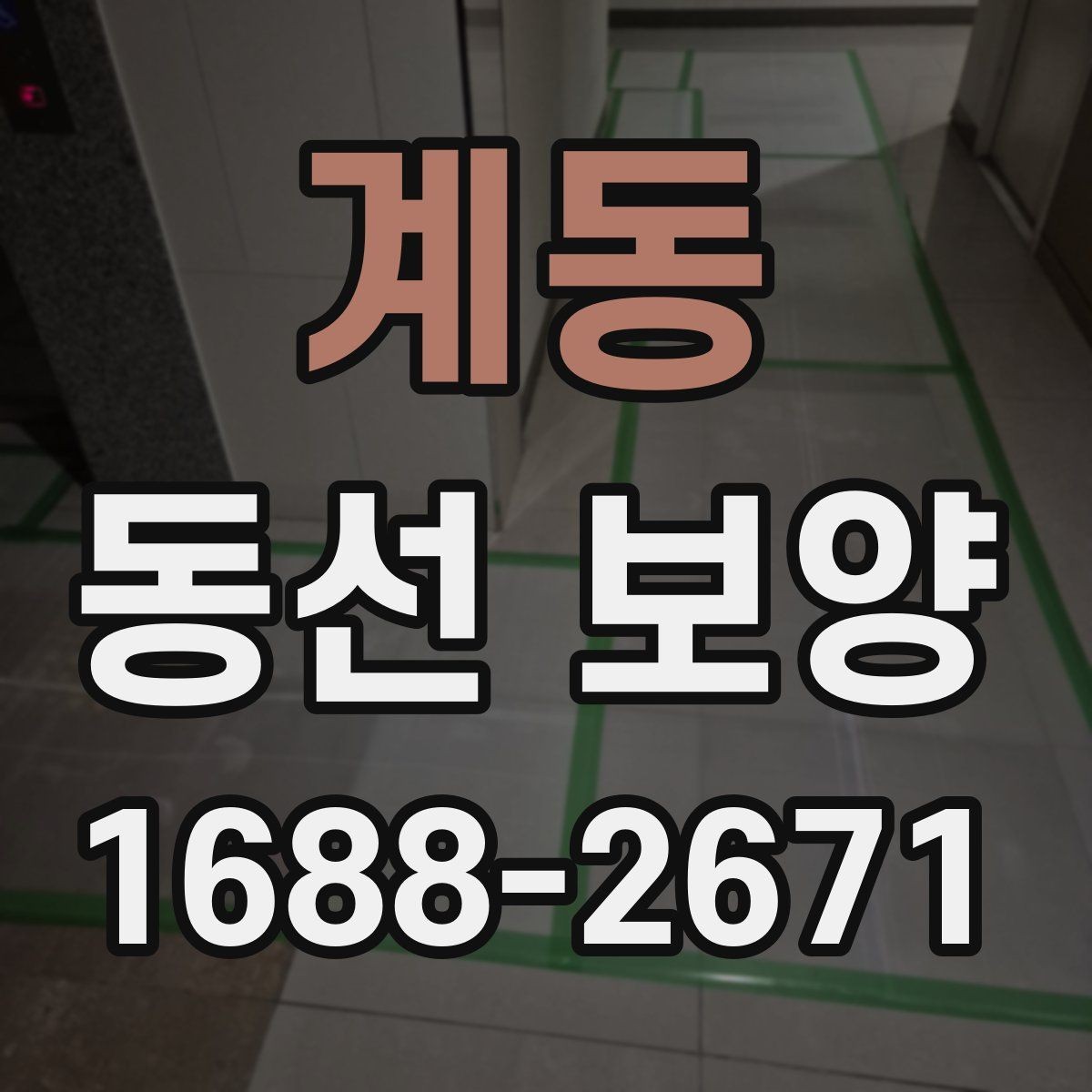 계동 동선 보양 범위와 작업 흐름 알아보기