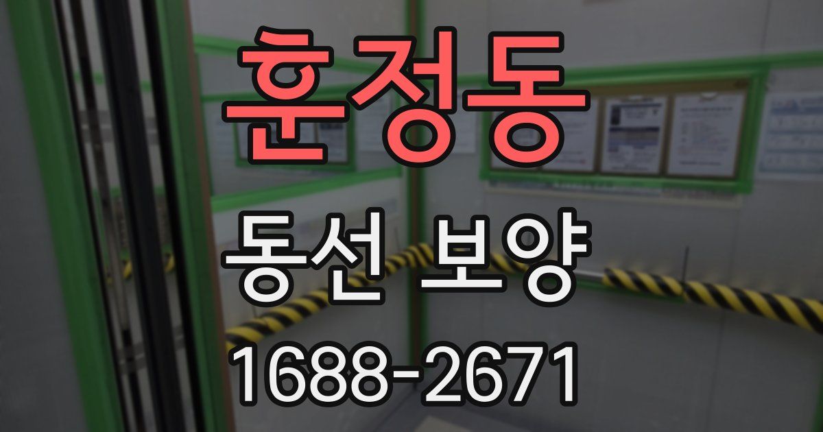 훈정동 동선 보양