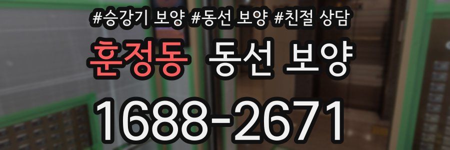훈정동 동선 보양