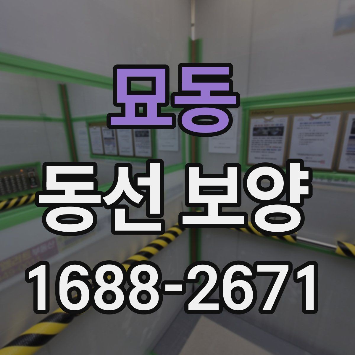 묘동 동선 보양 현장별 적용 사례와 특징