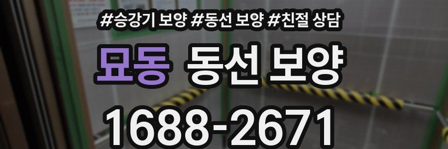 묘동 동선 보양