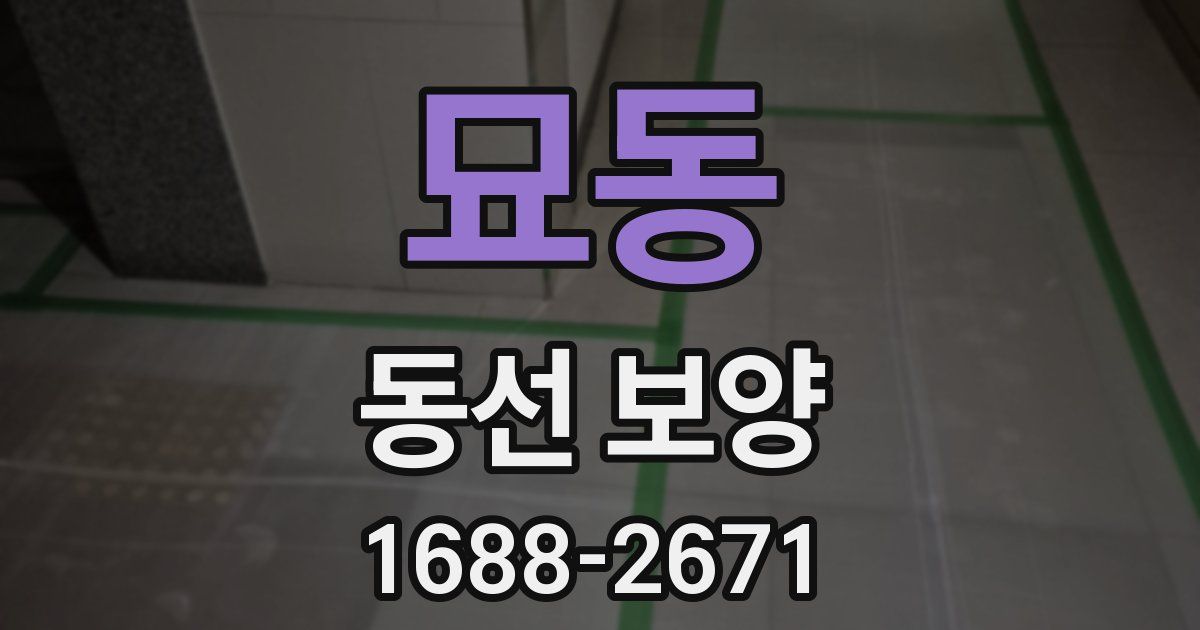 묘동 동선 보양