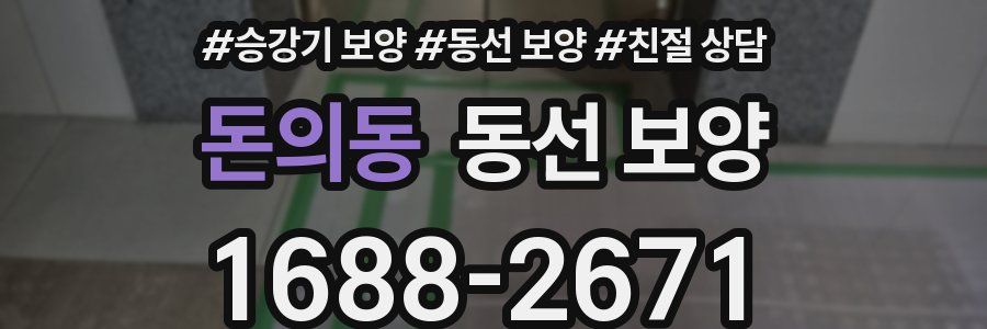 돈의동 동선 보양
