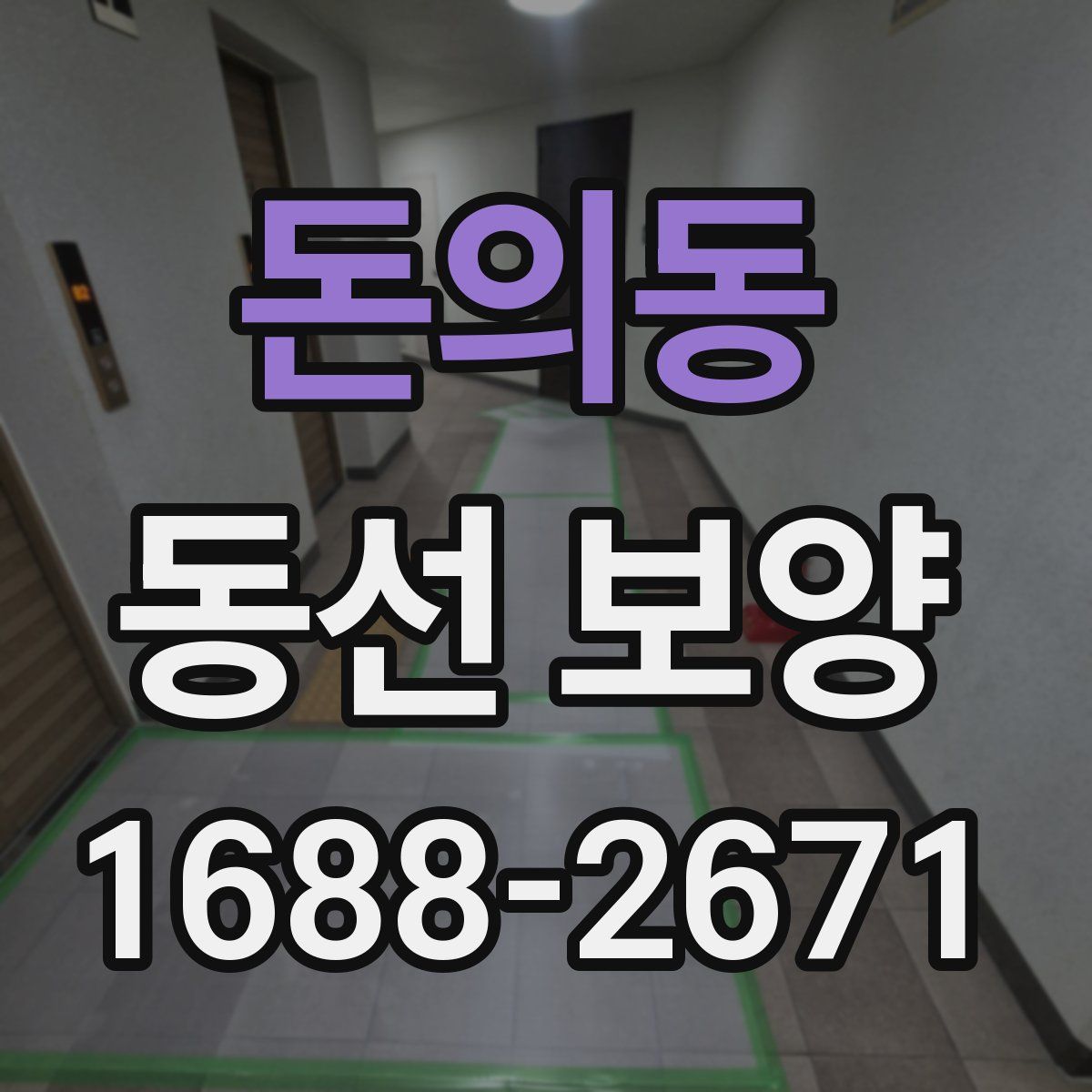 돈의동 동선 보양
