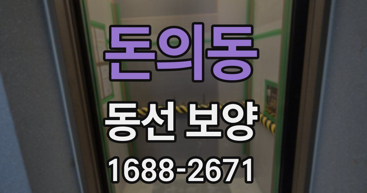 돈의동 동선 보양