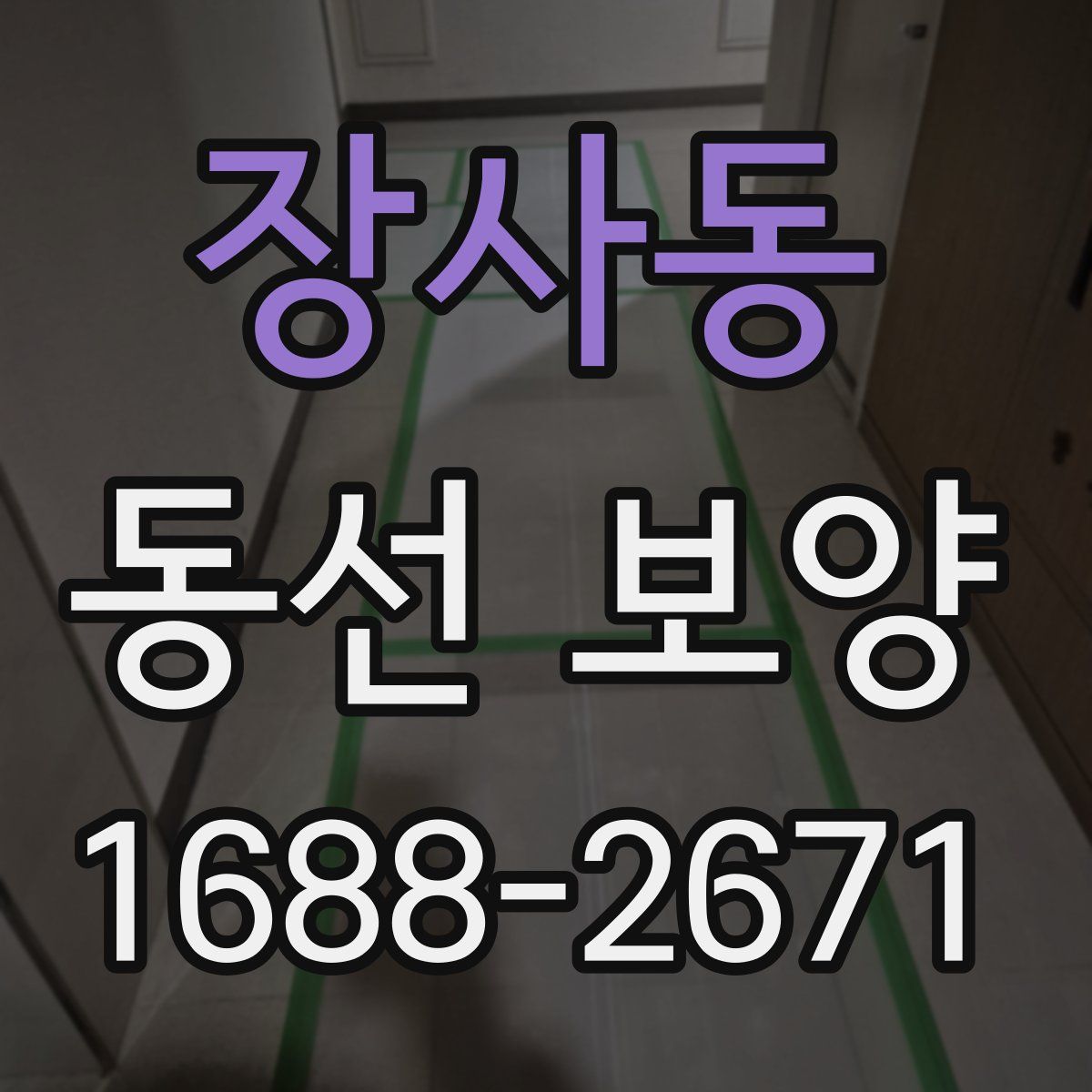 장사동 동선 보양