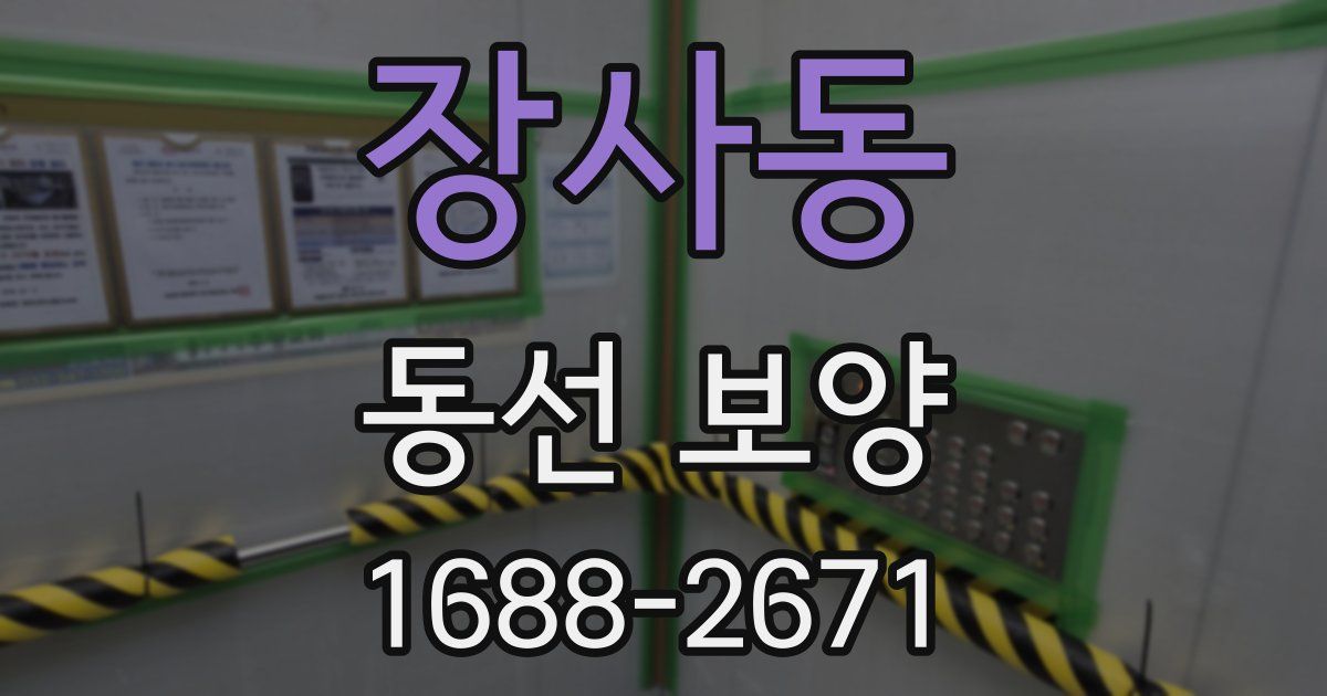 장사동 동선 보양