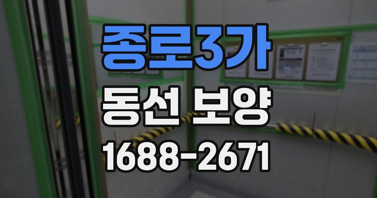 종로3가 동선 보양